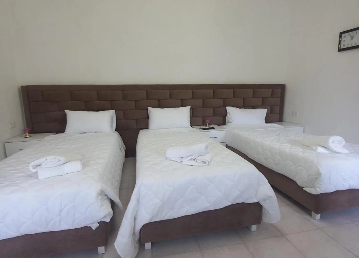 Aleko Guest House Gjirokaster Albania
